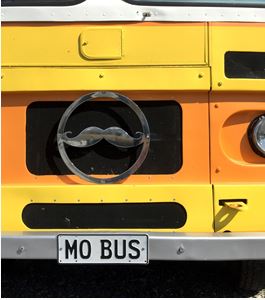 The Mo Bus