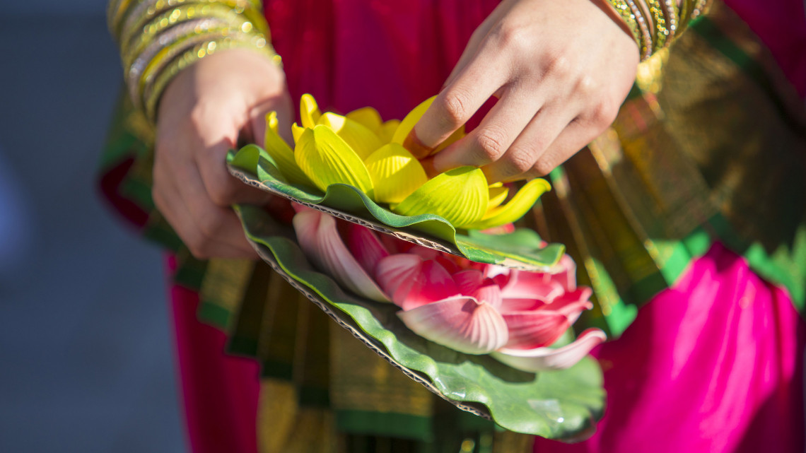 A woman in a pink sari with yellow sleeves offers a yellow and pink waterlily