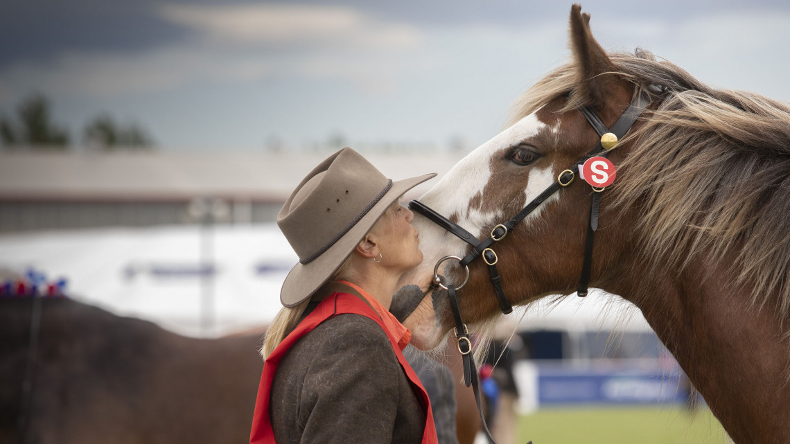 The New Zealand Agricultural Show