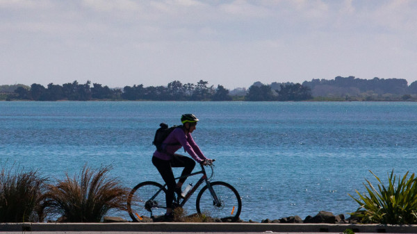 Cyclist on the causeway stretch of Te Ara Ihutai Christchurch Coastal Pathway.