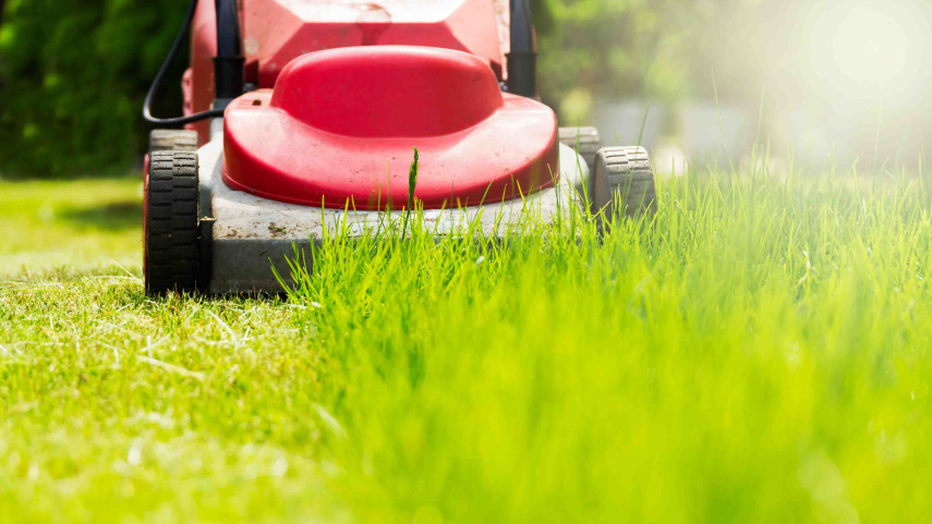 Council gears up to take on spring growth challenge