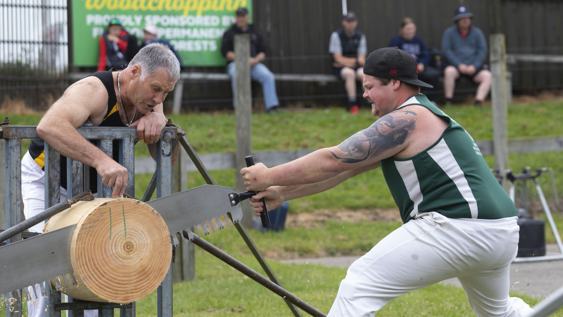 The New Zealand Agricultural Show