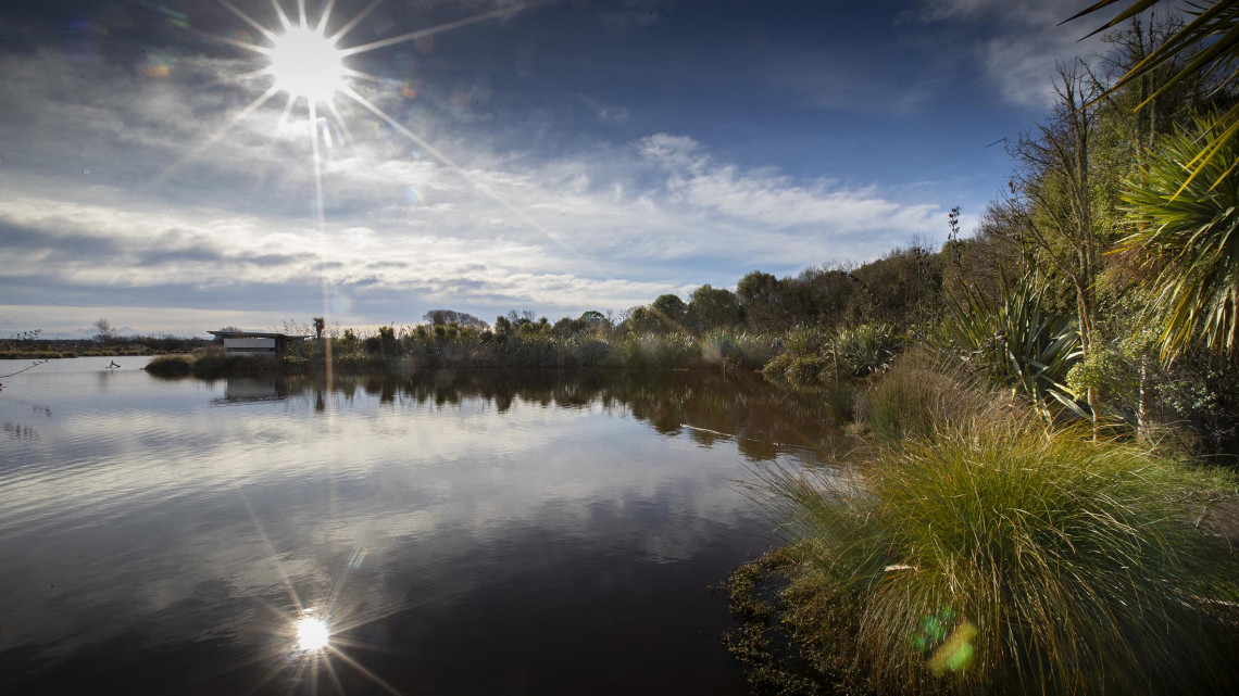 Travis Wetland